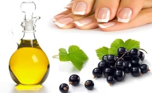 Black Currant Extract Oil