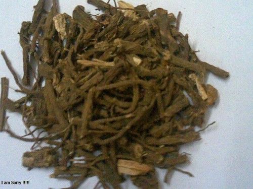 Dark Brown Coleus Forskohlii Extract