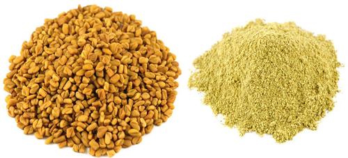 Fenugreek Powder with Health Benefits