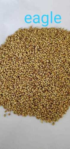 Green Eagle Quality Coriander Seed