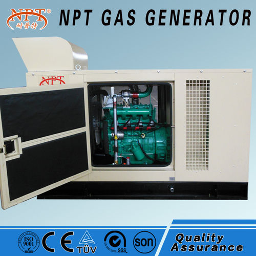 Green 10Kw Biogas Generator Set