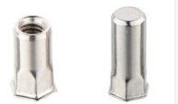 Stainless Steel Rivet Nut