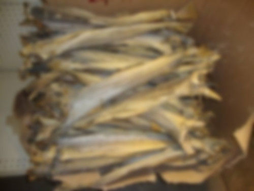 Fine Grade Dried Stock Fish