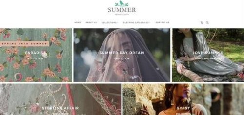 E Commerce Development Service (WordPress)