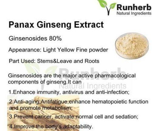 Natural Panax Ginseng Extract