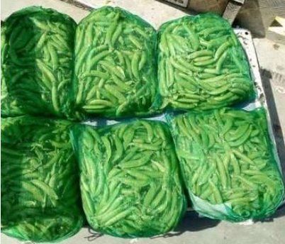 Gwar Vegetable Mesh Bag