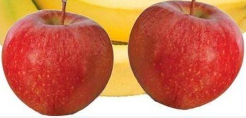  ताजा और स्वस्थ सेब 