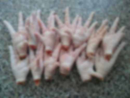 Halal Frozen Chicken Paws
