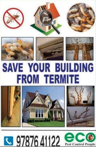 Common Termite Control Service