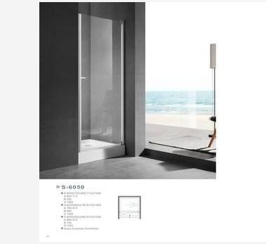 6mm Elegant Pivot Door