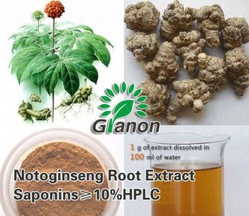 Panax Notoginseng Root Extract
