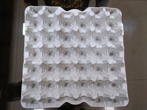 Pulp Molded Packaging Tray