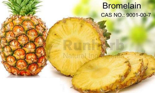 High Grade Bromelain CAS NO.:9001-00-7