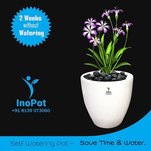 Inopot 2 Liter (Self Watering Pot) Bottom Diameter: 10.4  Centimeter (Cm)