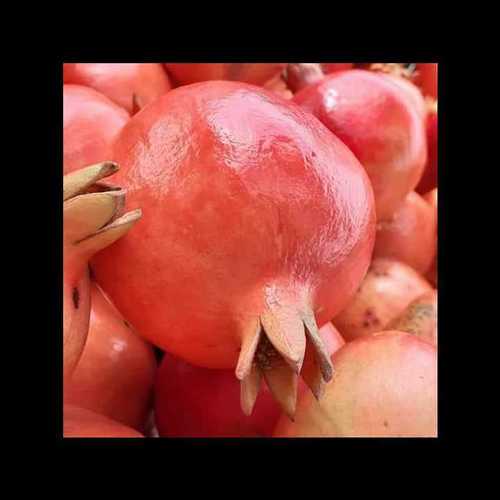 Red Highly Nutritious Fresh Pomegranates