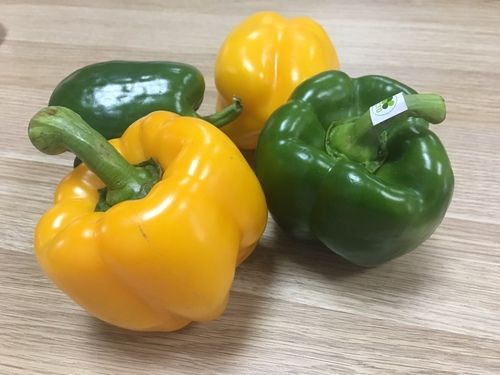 Fresh Bell Pepper High Quality