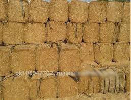 Wheat Straw