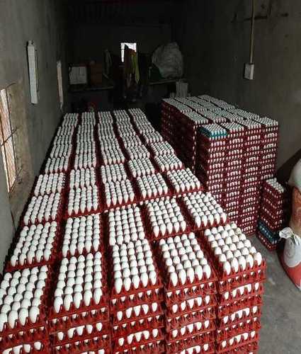 Fresh Poultry Farm Eggs