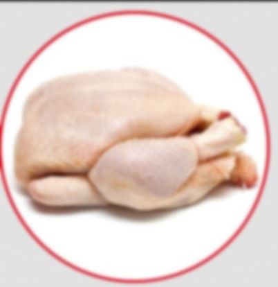 Multicolor Chicken Boneless Breast Skinless