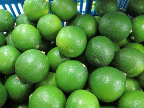 Fresh Seedless Lime Vietnam