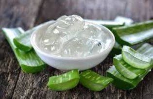 Fresh Aloe Vera Gel