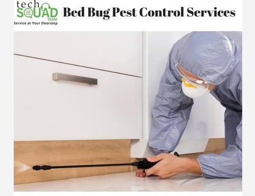 Pest Control Service By service provider