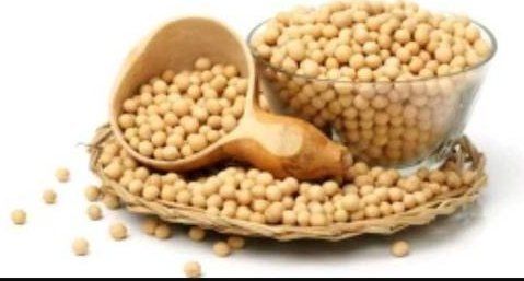Common Cultivation Type Natural Color Soya Beans