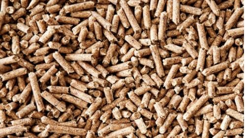 Stick Biomass Energy Wood Pellet