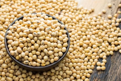 Indian Origin Soybean Seed