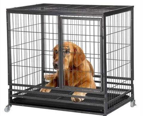 Heavy Duty Dog Exercise Pens