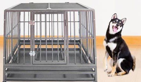 Ultimate Heavy Duty Dog Cage