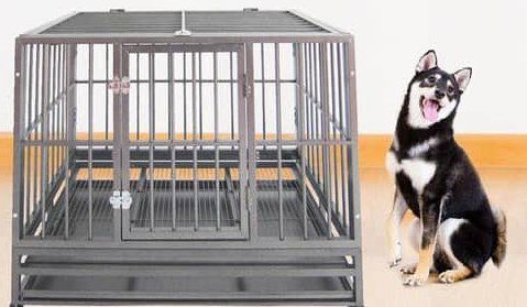 Ultimate Heavy Duty Dog Cage Size: New Design Can Be Made According To Your Requirements