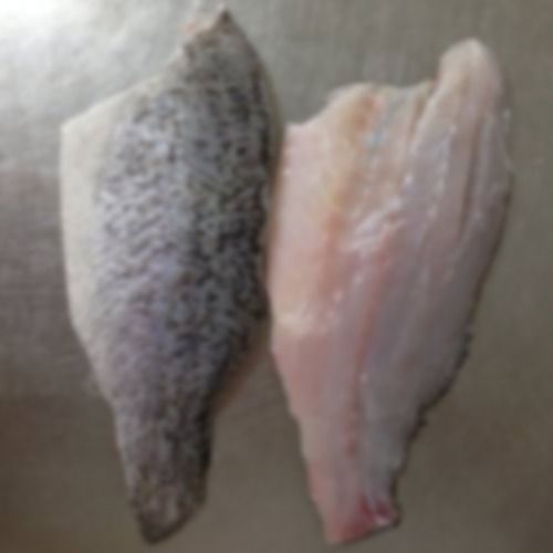 Frozen Salmon Fish Fillet