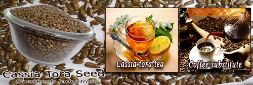 cassia tora seed