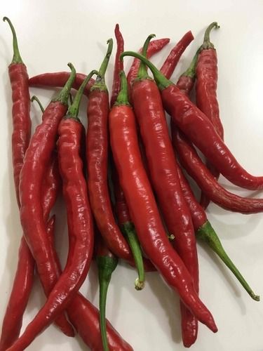 Farm Fresh Red Chilli