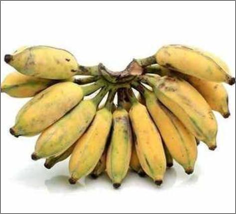 Pure Organic Karpuravalli Bananas