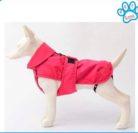 dog clothes delhi