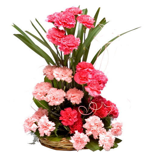 Online Flowers Type Delivery For Any Occasion