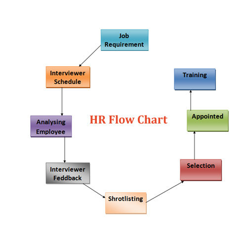 HR Management Software