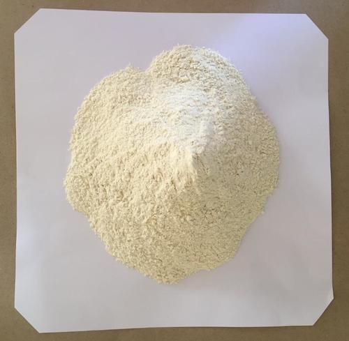 Dehydrated Onion Powder