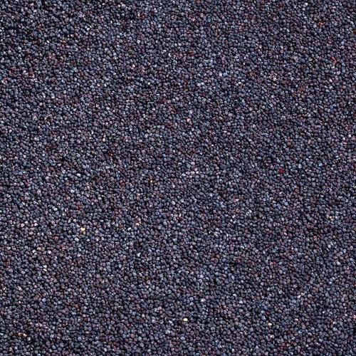 Top Quality Dried Poppy Seeds