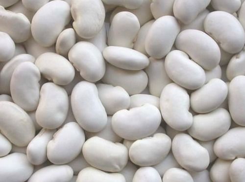 Best Quality White Kidney Bean