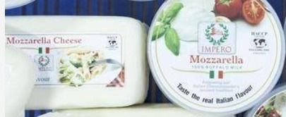 Quality Approved Mozzarella Cheese - European Quality Cheese Variety, Ideal for Oil and Direct Consumption