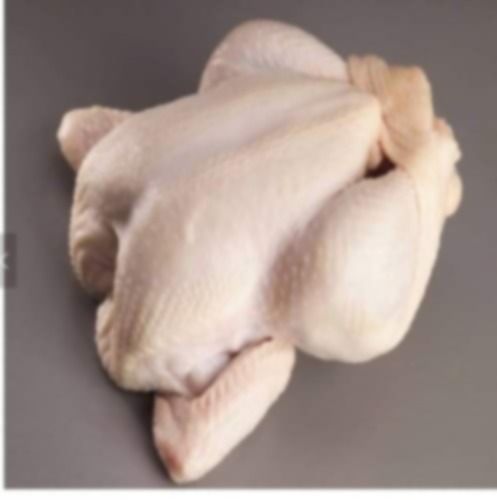 Halal Processed Whole Chicken