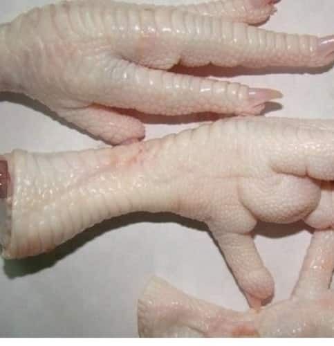 Quality Processed Frozen Chicken Feet