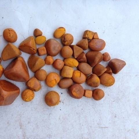 High Grade Cow Ox Gallstones