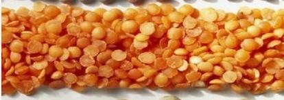 Red Lentils