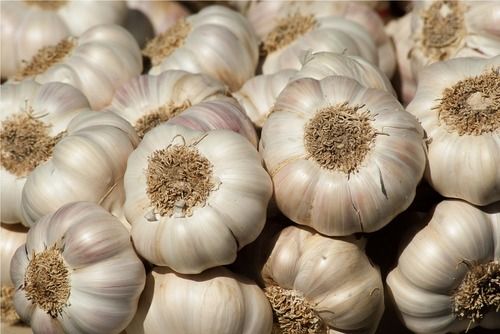 100% Organic Fresh Garlic