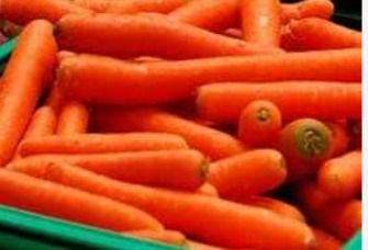 Fresh Red Carrot