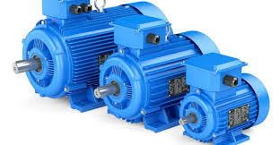 Energy Efficient Electric Motors